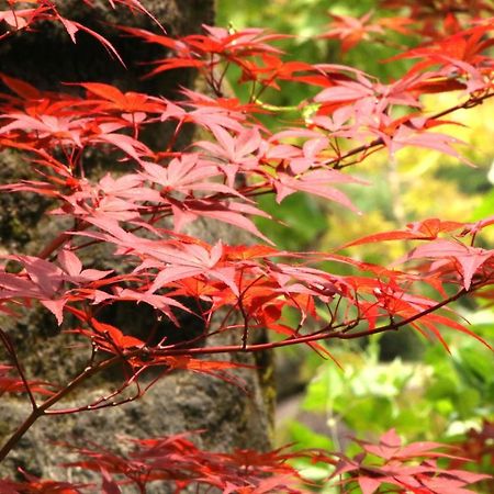 Hotel Usuki Yunosato Saiki Exteriér fotografie